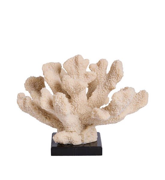 CENTRAL HOME Home Decorative Coral with Base 26x20x19.5 cm White/Black. 100% оригинал