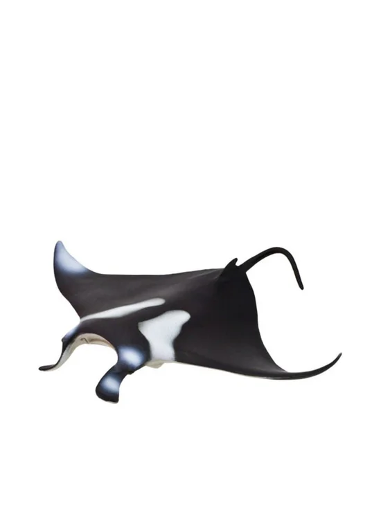 image_cds4255277_1_fc9f53fd48