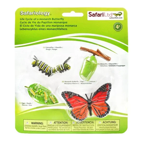 SAFARI LIFE CYCLE OF A MONARCH BUTTER. 100% оригинал