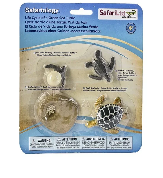 SAFARI LIFE CYCLE OF A GREEN SEA TURT. 100% оригинал
