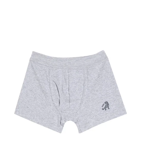 ANGEL KIDS Boy's Trunk with Dino Logo Printed. 100% оригинал