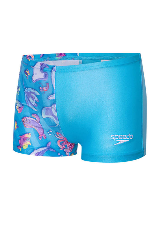 image_mkp1971213_1_c169fdbfaa