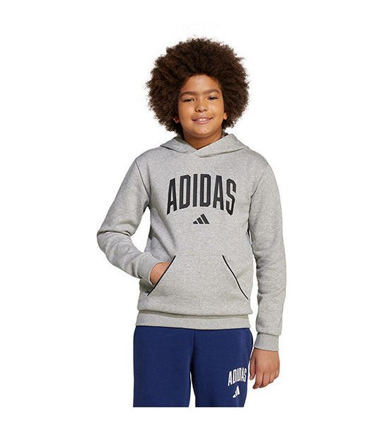 ADIDAS Kids Hoodie Seasonals Essentials Collegiate Typography Grey - AD001AP092ELTH. 100% оригинал