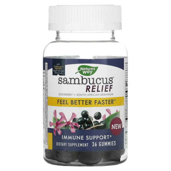 Nature's Way, Sambucus Relief, поддержка иммунитета, бузина и южноафриканская герань, 36 жевательных таблеток