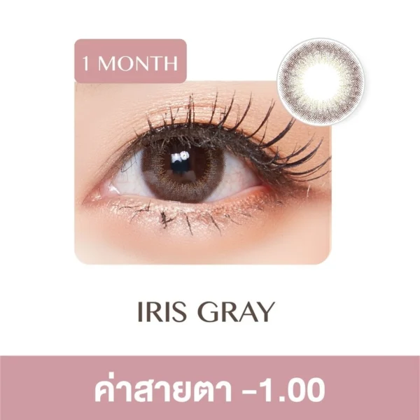 Pegavision Monthly Kaori Iris Gray -1.00 (2 Lens/box) Оригинал