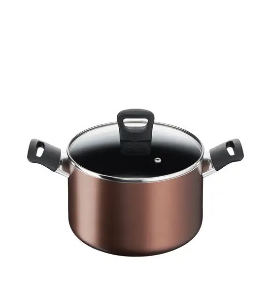 TEFAL หม้อ2หู 22 ฝาแก้ว DAY BY DAY Оригинал