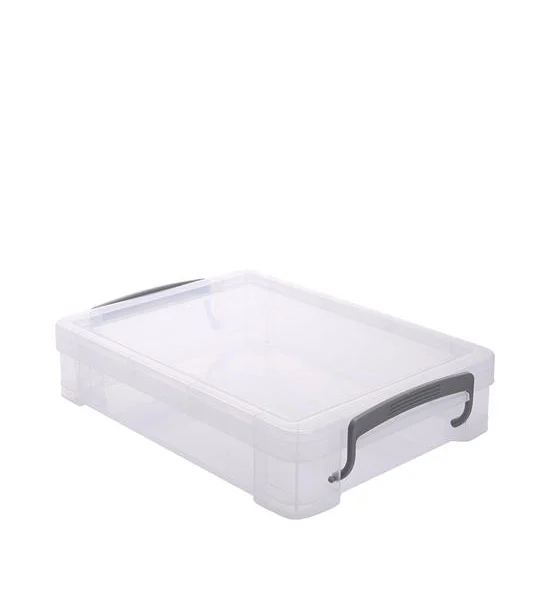 CENTRAL HOME Storage Box with Locked Lid 35x25x7.5 cm Transparent Оригинал