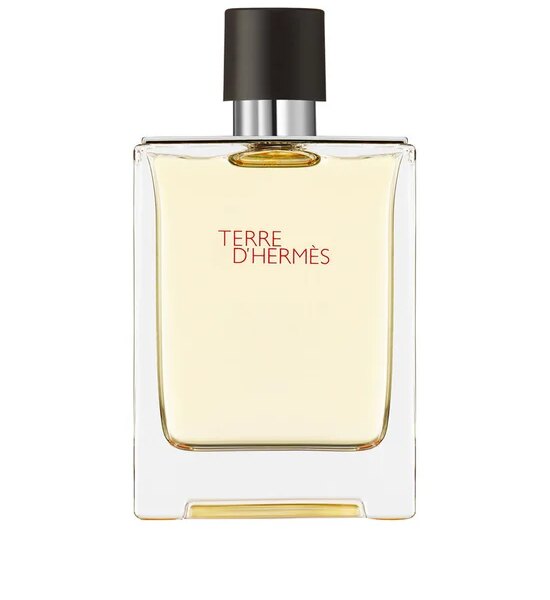 HERMÈS Terre d'Hermès Eau de Toilette 100 ml Оригинал