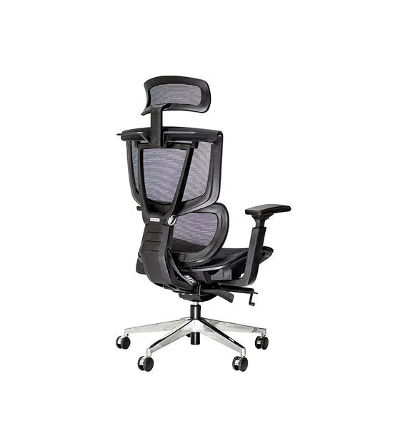 ERGONOZ ERGONOZ ERECTOR Professional Ergonomic Computer Chair Health chair Black Mesh (EGN-ERECTOR-B) Оригинал
