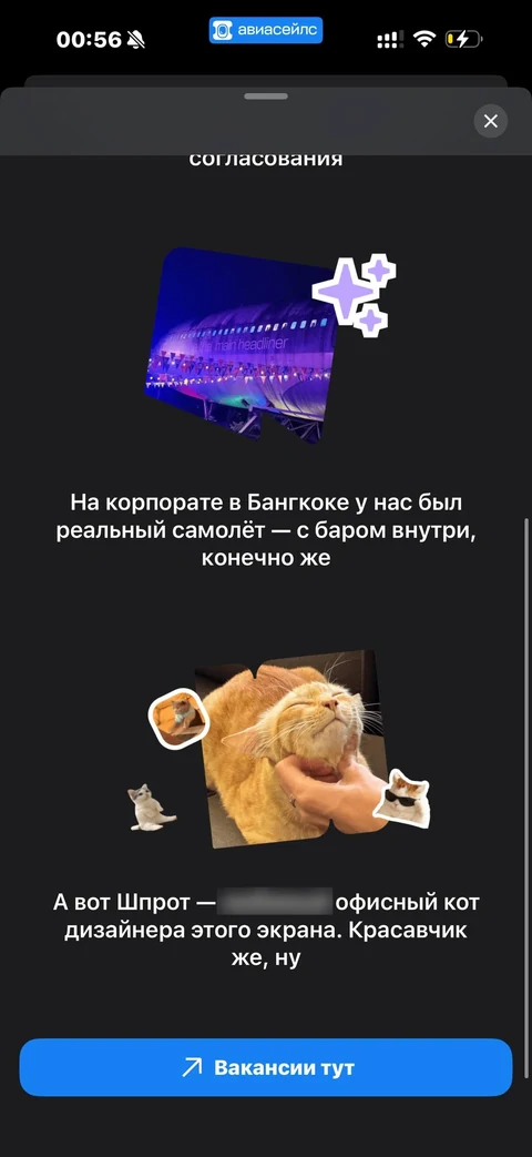 Avisales · Галерея · 82