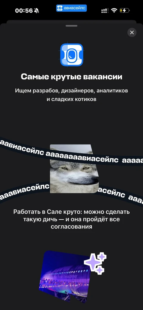 Avisales · Галерея · 81