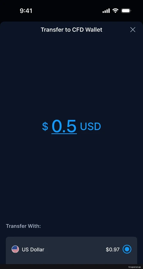 Перевод in funds 3
