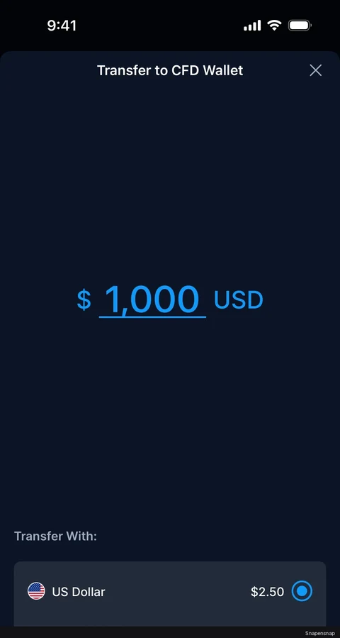 Перевод in funds 2