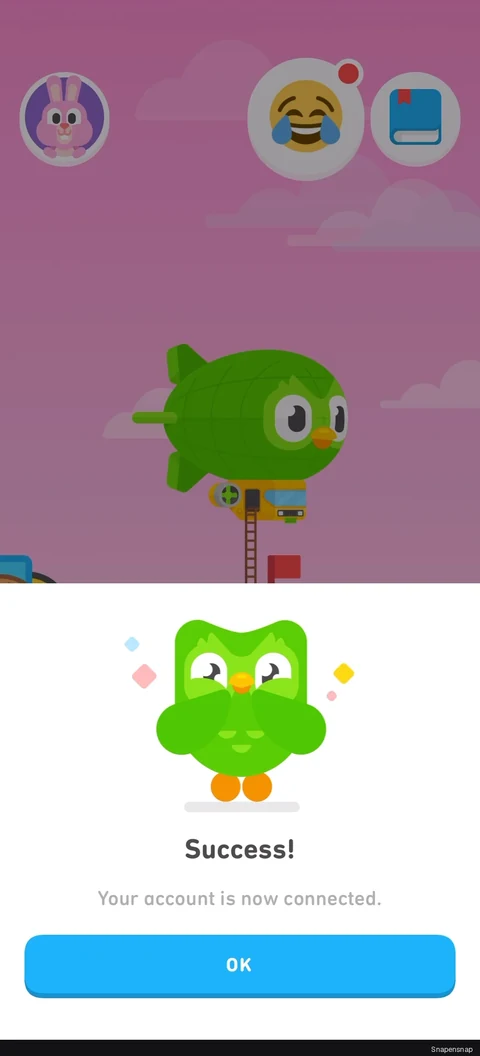 Сценарий: Connecting a Duolingo account 6