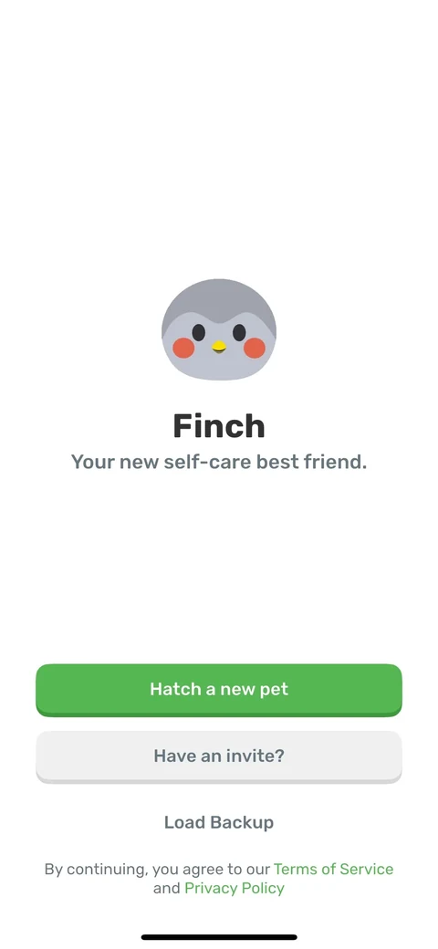 Finch 2