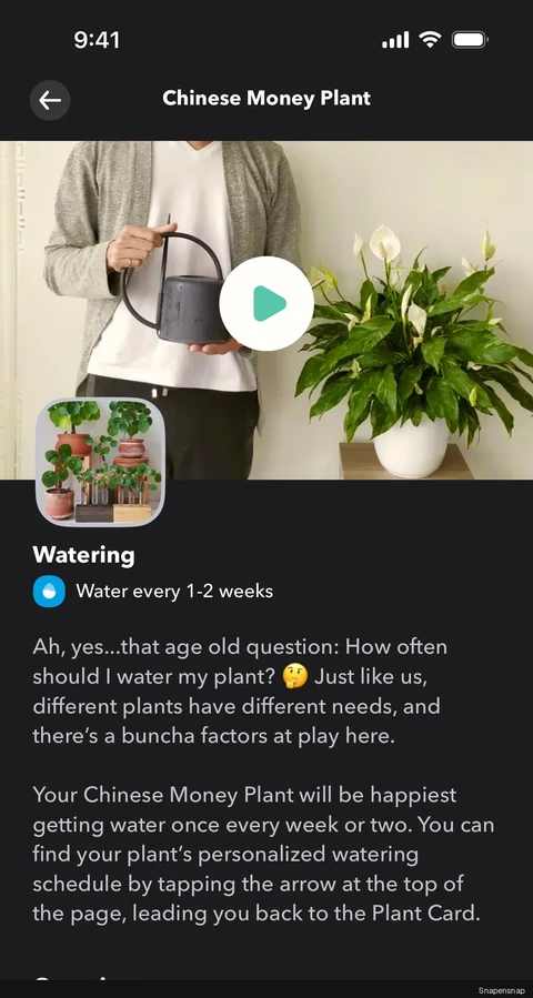 TODO:RU:Plant information (added) 2