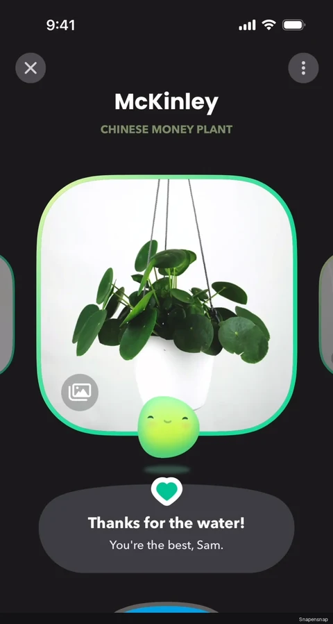 TODO:RU:Removing a plant 1