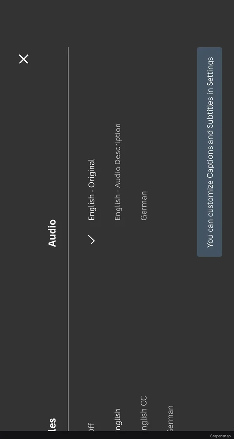 TODO:RU:Selecting a subtitle 3