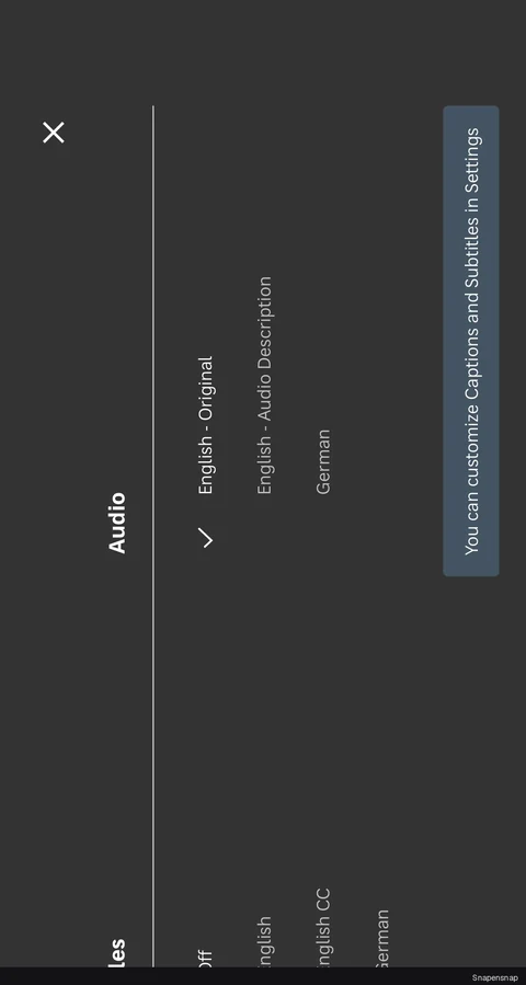 TODO:RU:Selecting a subtitle 2