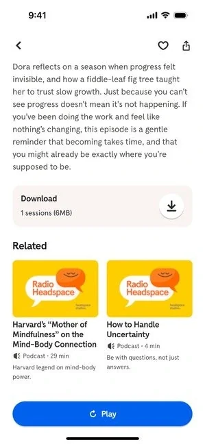 Headspace 304