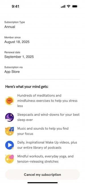 Headspace 310