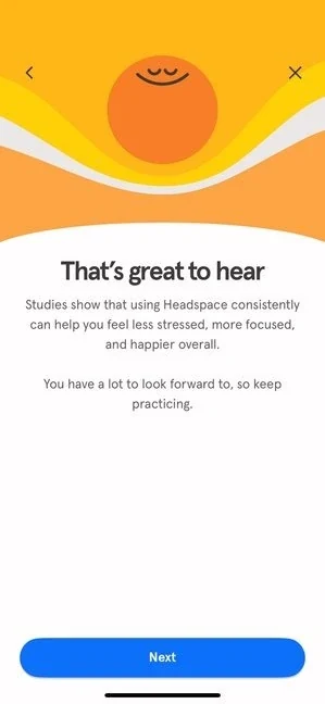 Headspace 325