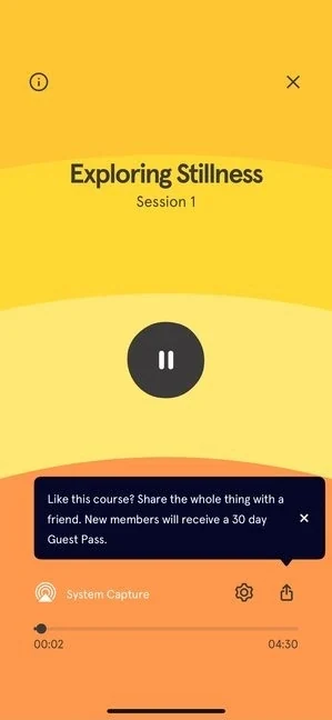 Headspace 375