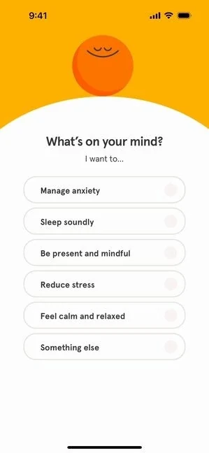 Headspace 430
