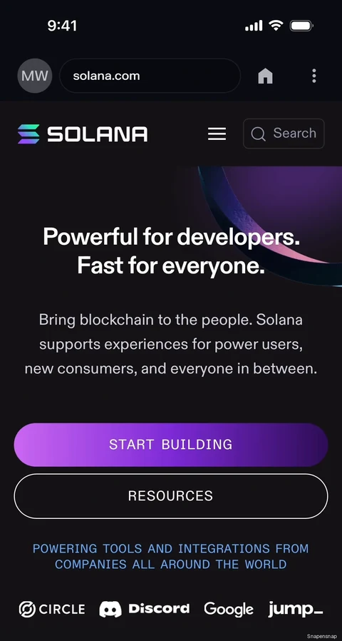 Поиск в браузере Solflare 6