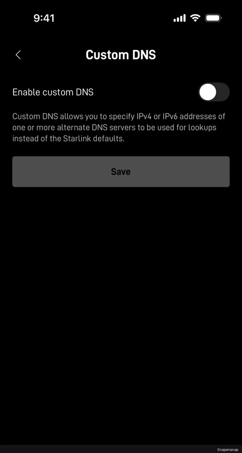 Включение custom DNS 2