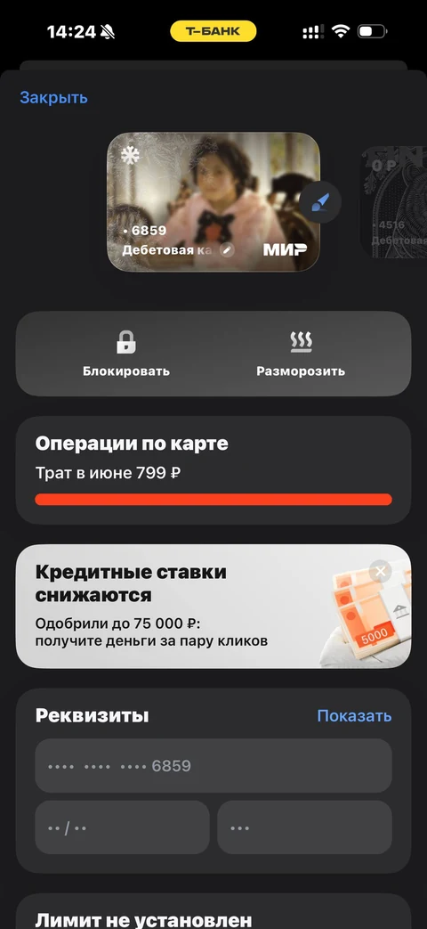 Т-Банк · Детализация · 73