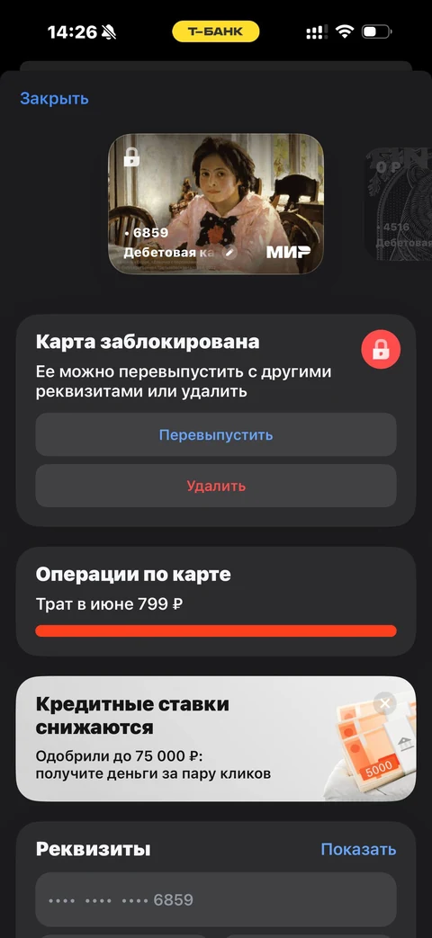 Т-Банк · Детализация · 69