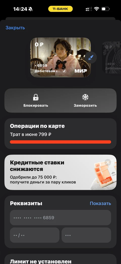 Т-Банк · Детализация · 70
