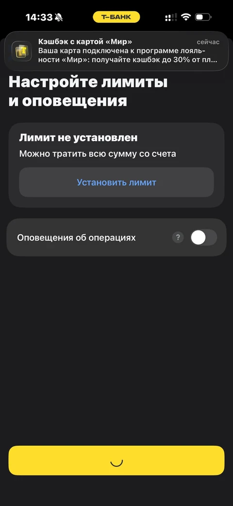 Т-Банк · Пластиковая · 100