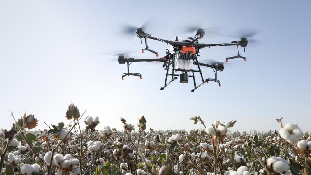 Сохраните свой урожай с помощью квадрокоптера DJI