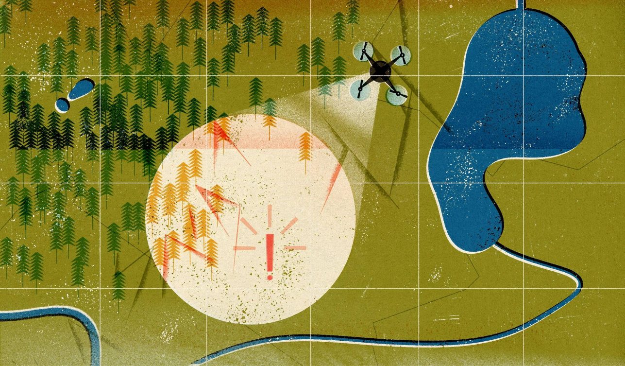 Тактика работы дронов во время поисково-спасательных мероприятий Тактика работы дронов во время поисково-спасательных мероприятий
