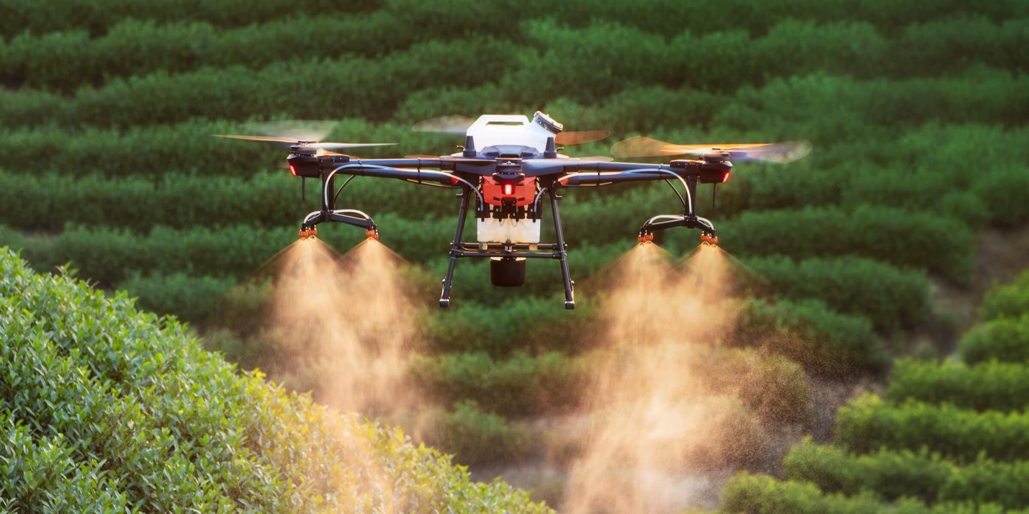 DJI Terra – лучшее ПО для точного сельского хозяйства