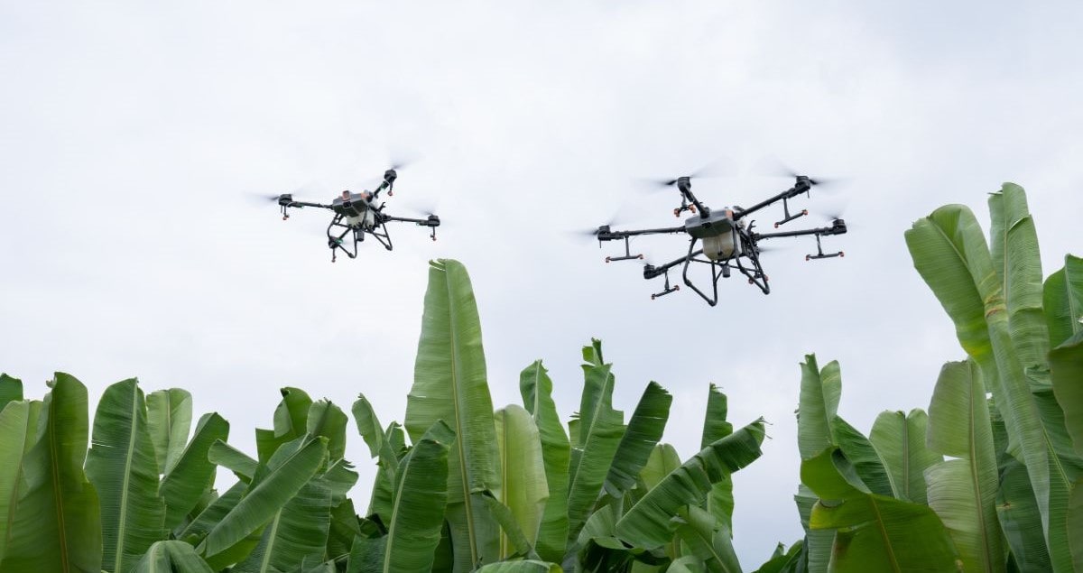 DJI представили новинки для аграриев Agras T10 и T30 DJI представили новинки для аграриев Agras T10 и T30