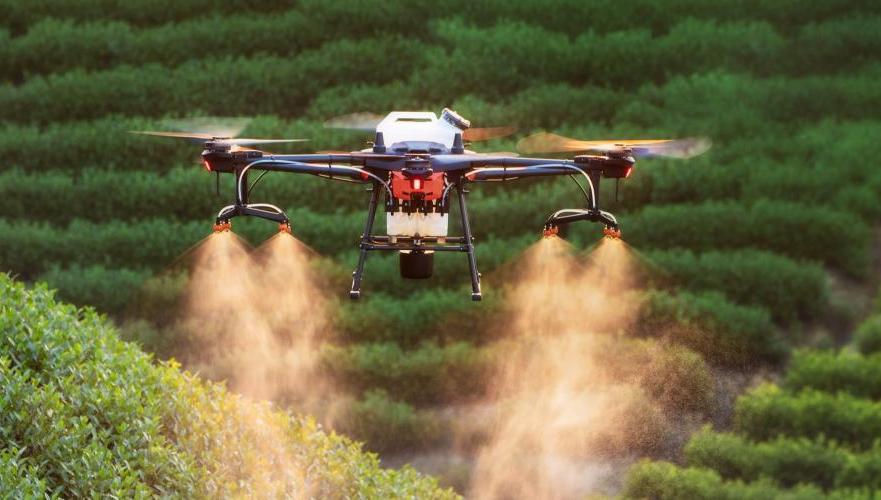 DJI Terra – лучшее ПО для точного сельского хозяйства