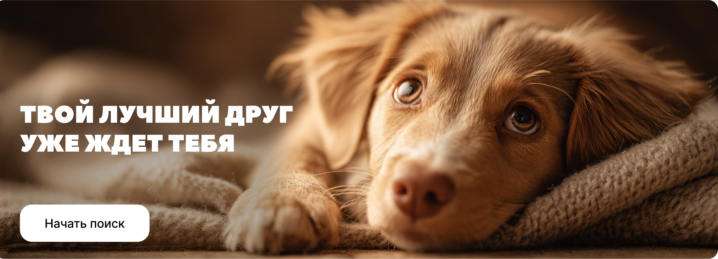 Твой лучший друг