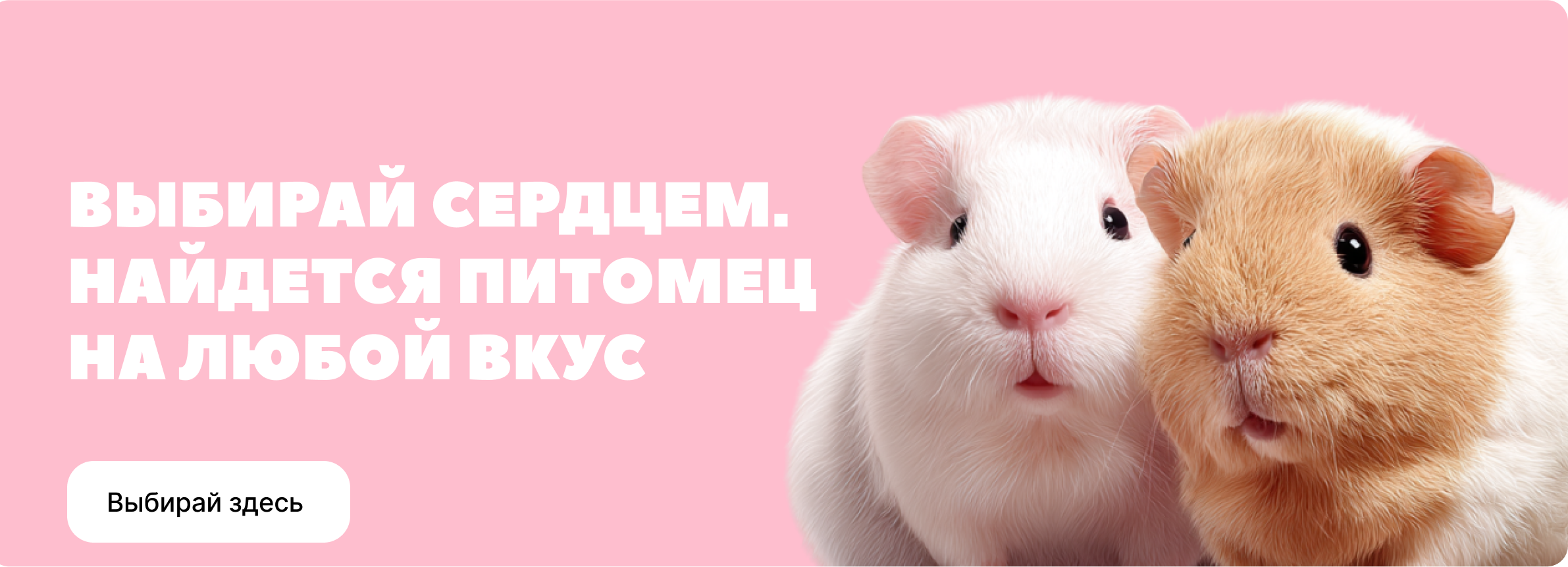 Выбирай сердцем