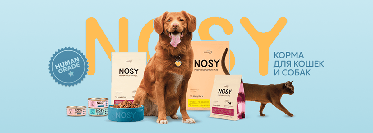 Желтый баннер