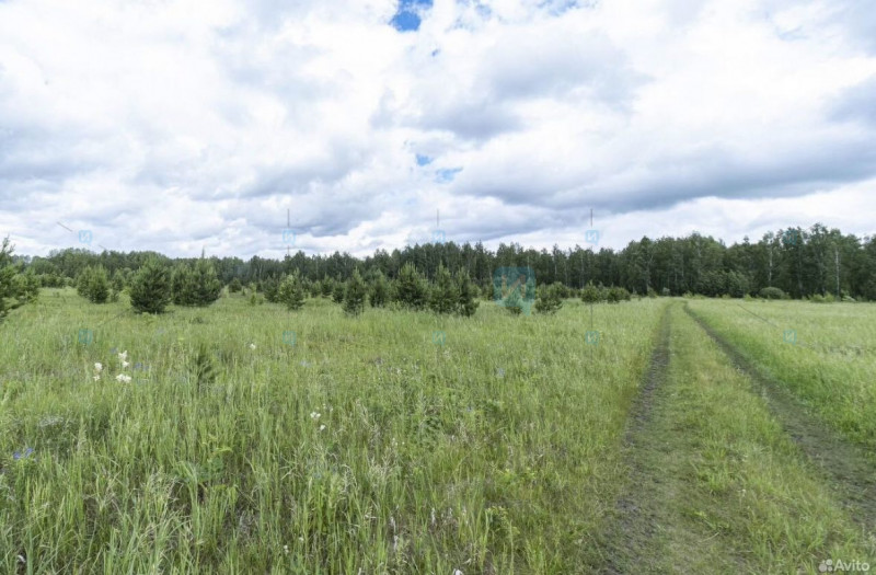 Земельный участок, Тюмень