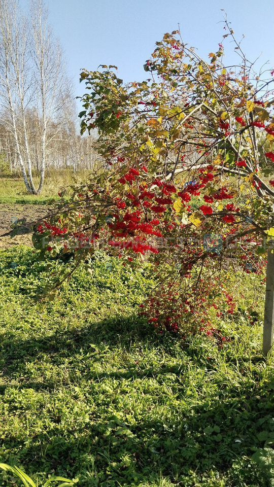 Земельный участок, Тюмень