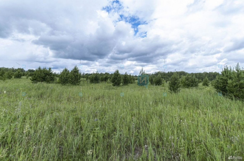 Земельный участок, Тюмень