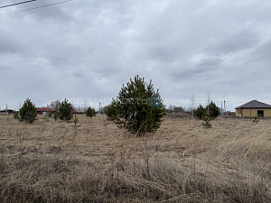 Земельный участок, Тюмень