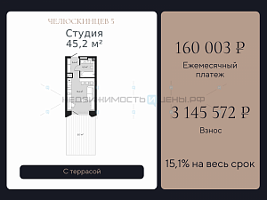 Студия, 45.2м2, 2/9, Челюскинцев 5, Тюмень