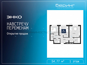 2 комн., 54.77м2, 1/19, Беринг, Тюмень