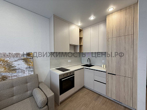 1 комн., 33м2, 10/17, Семья, Тюмень