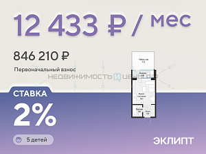 Студия, 25.2м2, 1/4, Эклипт, Тюмень